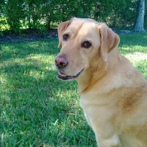 Bundle & save on >3500 items in my closet!